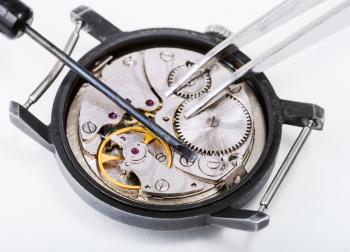 adjusting old mechanic wristwatch - screwdriver and tweezers on open repaired watch close up