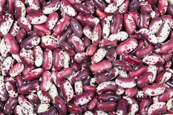 food background - many raw red spotted beans
