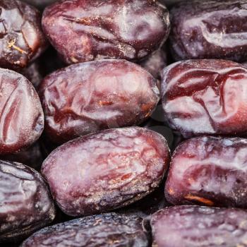 square food background - sweet dried dates close up