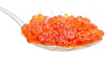 side view of Red caviar of Sockeye salmon fish on spoon isolated on white background
