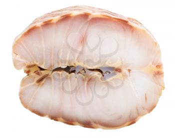 piece of hot smoked Starry sturgeon fish isolated on white background