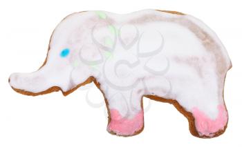 homemade Christmas festive glazed gingerbread cookie - elephant figure cookie isolated on white background