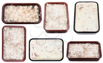 set of frozen aspics with meat in metal pans isolated on white background