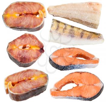 set frozen fish fillets and steaks ( atlantic salmon, sturgeon, zander) isolated on white background