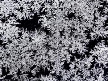 natural snowflakes pattern on window glass in cold winter