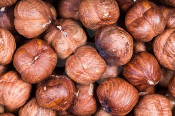 food background - dried raw hazelnuts close up