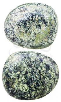 macro shooting of natural mineral stone - two tumbled serpentine (Serpentinite) gemstones isolated on white background