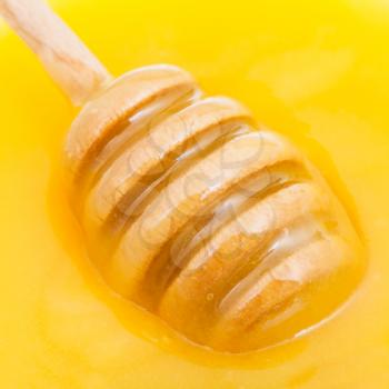 wooden honey spoon in yellow honey close up
