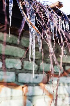 icicles and twigs on roof of house in sunny winter day