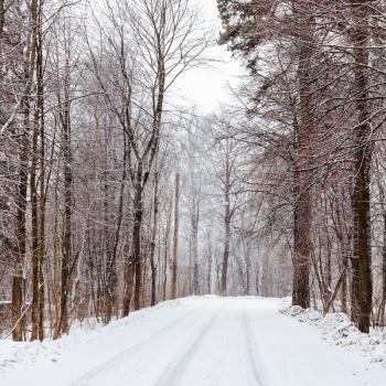 snow-covered country road after snowfall in forest in winter day