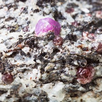 macro shooting of natural rock specimen - Corundum crystals in rock close up