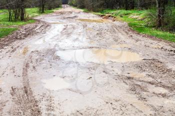rainy puddles on dirty country road in spring on loamy soil