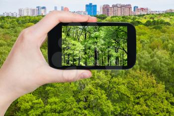 season concept - tourist photographs oak trees in green summer forest near city on smartphone