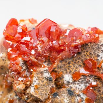 natural mineral - druse of red vanadinite crystals (vanadium ore) on stone close up