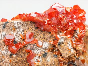 natural mineral stone - red vanadinite crystals (vanadium ore) on rock close up