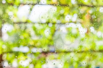 rain drops on window of cottage and blurred vineyard on background in summer day