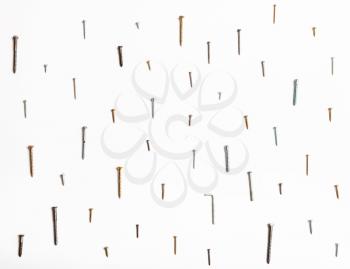 many wood screws and self-tapping screws arranged on white background