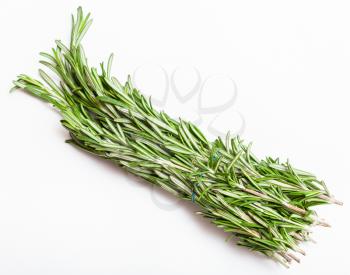 bunch of fresh cut green rosemary herb on white background