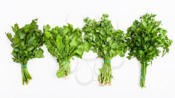 set from fresh cut green herbs (celery, cress, cilantro, parsley) on white background