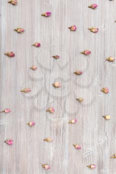 many natural pink rose flower buds on wooden surface