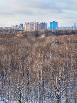 above view of urban buildings and tree tops in forest illuminated by sunlight in cool winter day