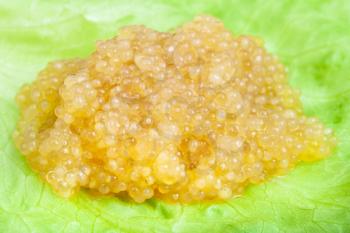 handful of salty yellow caviar of pike fish on green leaf