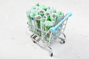 supermarket trolley with rolls from euro banknotes on concrete plate