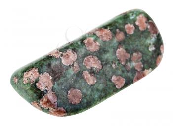 macro shooting of geological collection mineral - polished Eclogite stone (pink garnet almandine-pyrope crystals in green matrix of pyroxene, omphacite) isolated on white background
