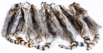material for fur clothing - lot of natural raccoon pelts