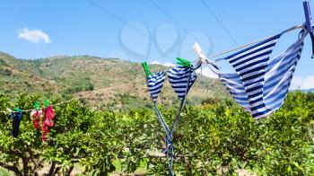 agricultural tourism in Italy - swim suits dry in green garden outdoors in Sicily is summer sunny day