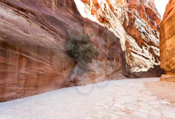 Travel to Middle East country Kingdom of Jordan - Al Siq passage to ancient Petra town in winter