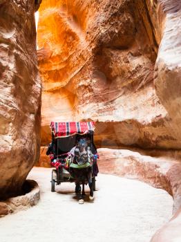 PETRA, JORDAN - FEBRUARY 21, 2012: bedouin horse cart in Al Siq passage to ancient Petra town in winter. Rock-cut town Petra was established about 312 BC as the capital city of the Arab Nabataean