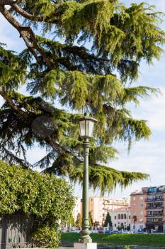 travel to Italy - green trees in residential area in Verona city in spring