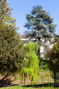 travel to Italy - green trees in urban public park Giardini Salvi (Garden of Valmarana Salvi) in Vicenza city in spring