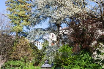 travel to Italy - blossoming trees in urban public park Giardini Salvi (Garden of Valmarana Salvi) in Vicenza city in spring