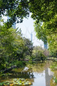 travel to China - overgrown pond in Zhujiang urban park in Guangzhou city in spring season