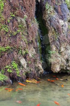 travel to China - goldfishes in Yi river in longmen grottoes in spring season