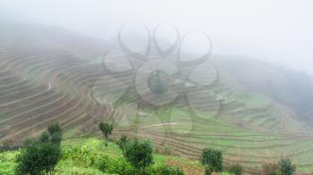 travel to China - view of rice terraced fields in haze from viewpoint Music from Paradise in area of Dazhai Longsheng Rice Terraces (Dragon's Backbone terrace, Longji Rice Terraces) country in spring