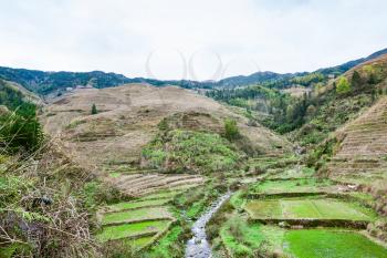 travel to China - view of terraced gardens and creek in Dazhai village in country of Longsheng Rice Terraces (Dragon's Backbone terrace, Longji Rice Terraces) in spring