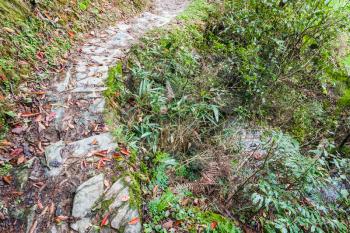 travel to China - wet path on mountain slope in Dazhai country of Longsheng Rice Terraces (Dragon's Backbone terrace, Longji Rice Terraces) in spring