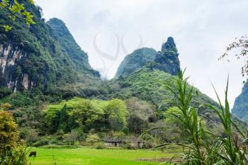 travel to China - view of green field near karst mountain in Yangshuo County in spring season