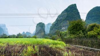 travel to China - plantation near karst mountain in Yangshuo County in spring season