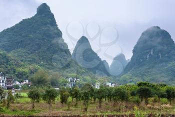 travel to China - fruit orchard near karst mountain in Yangshuo County in spring season