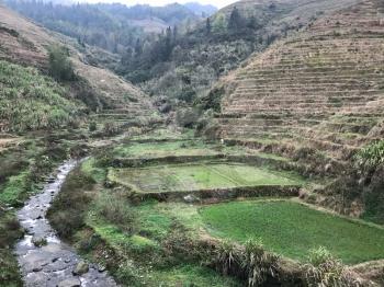 travel to China - brook between terraced fields of Dazhai village in area of Longsheng Rice Terraces (Dragon's Backbone terrace, Longji Rice Terraces) in spring season