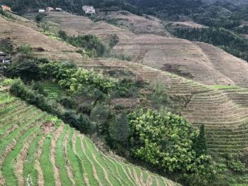travel to China - view of terraced paddy area in Dazhai village in country of Longsheng Rice Terraces (Dragon's Backbone terrace, Longji Rice Terraces) in spring