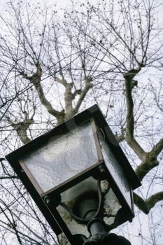 travel to Italy - lantern and bare tree in urban park on street viale michelangelo in Florence city in winter day