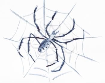 training drawing in suibokuga style with watercolor paints - Spider on the web on white paper