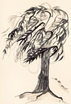 training drawing in suibokuga style with watercolor paints - sketch of willow tree on ivory colored paper