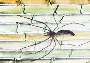 training drawing in suibokuga style with watercolor paints - spider on bamboo trunks on white paper