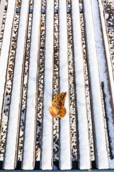 fallen leaf on wooden bench covered with the first snow in urban garden in frosty autumn day